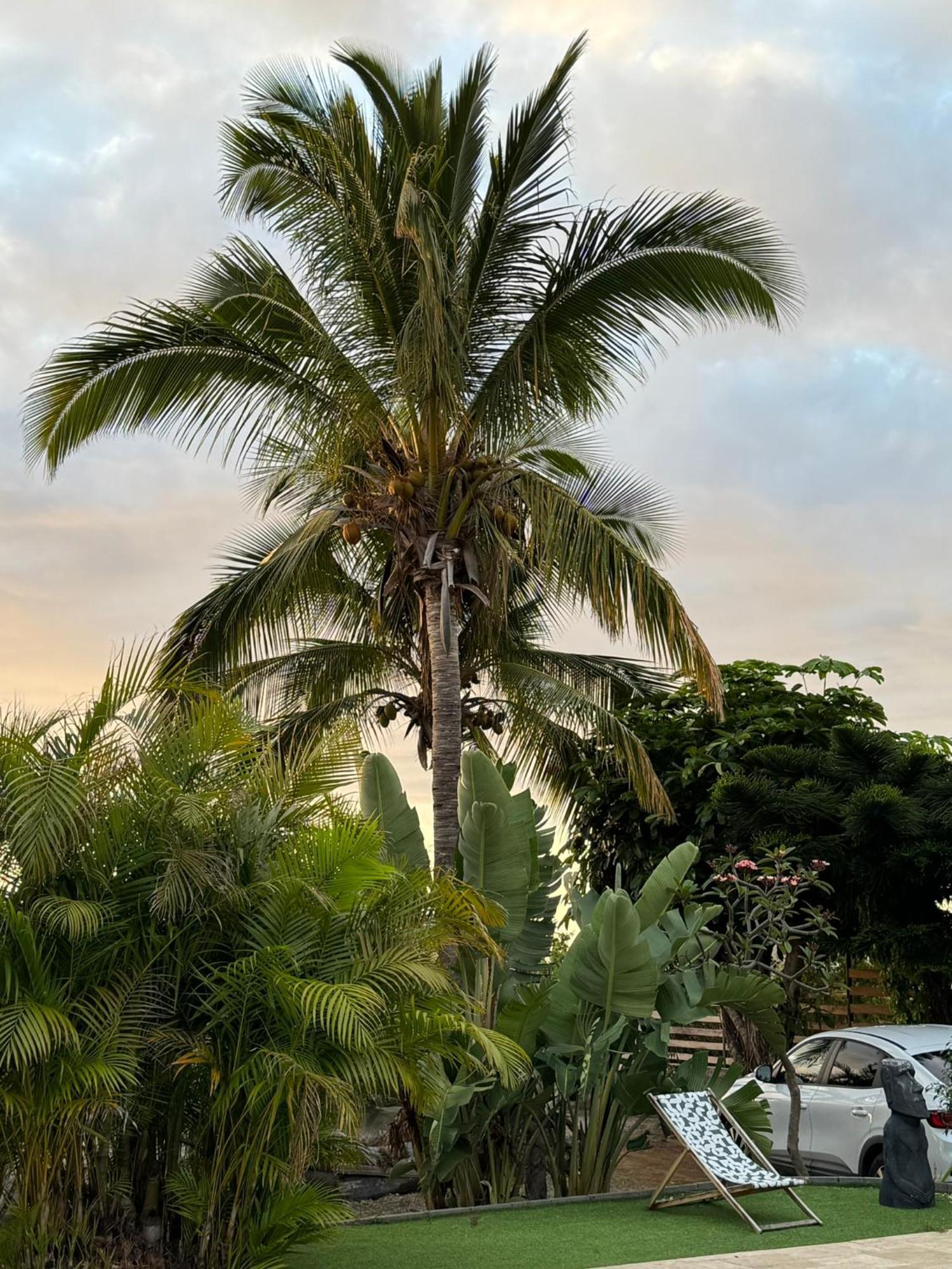 La Bananeraie Apt 35M2 Piscine Jardin Tropical Parking Prive Saint-Leu Bagian luar foto