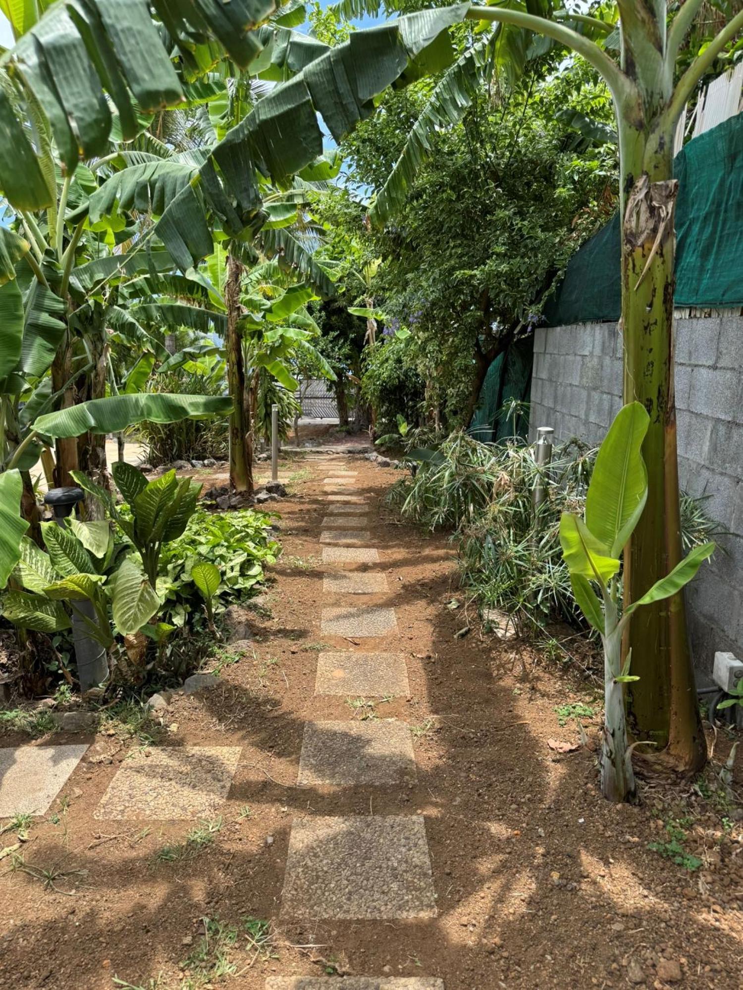 La Bananeraie Apt 35M2 Piscine Jardin Tropical Parking Prive Saint-Leu Bagian luar foto