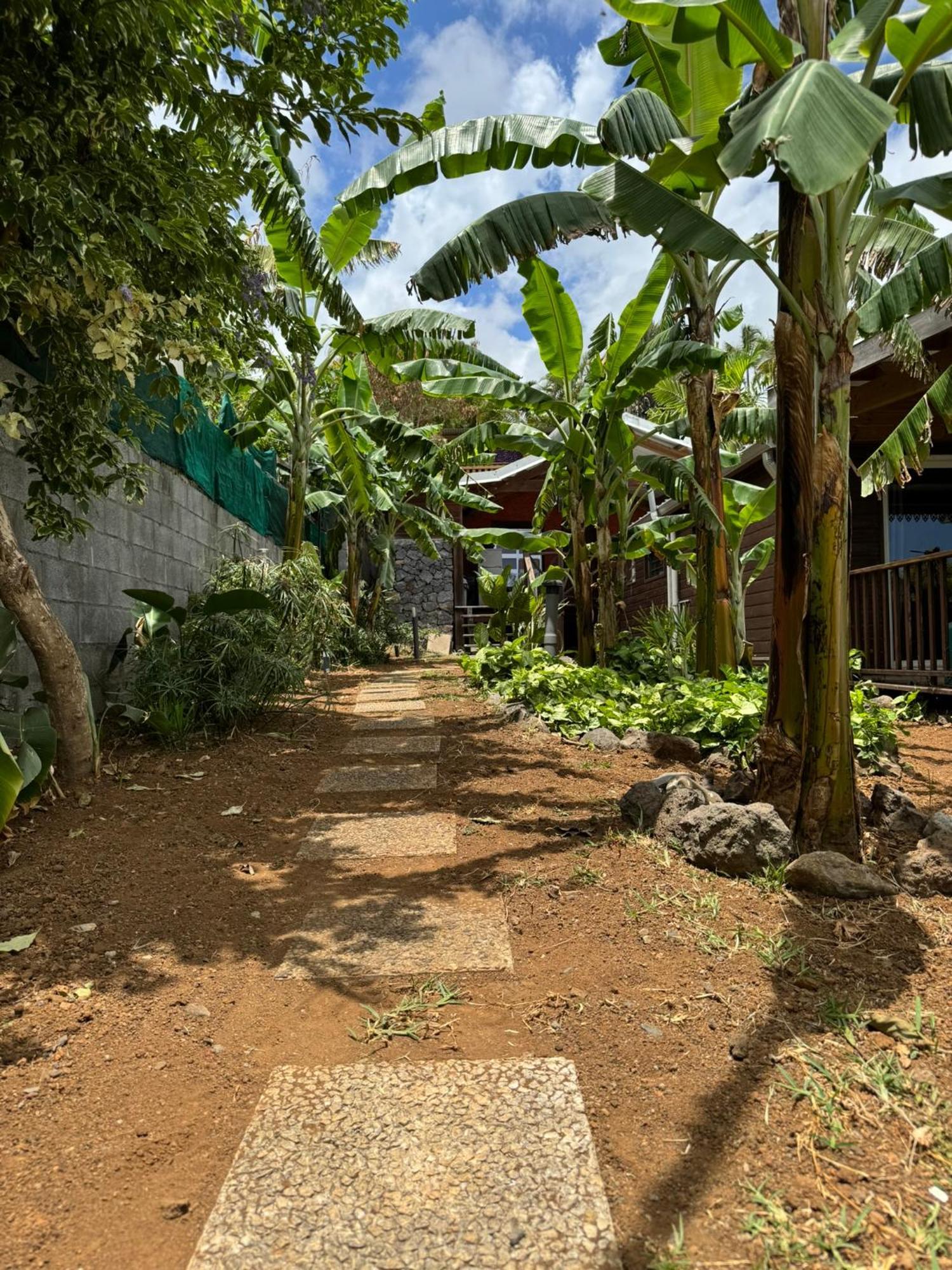 La Bananeraie Apt 35M2 Piscine Jardin Tropical Parking Prive Saint-Leu Bagian luar foto